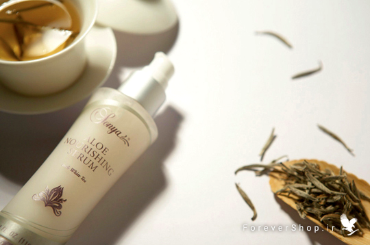 Aloe Refreshing Toner